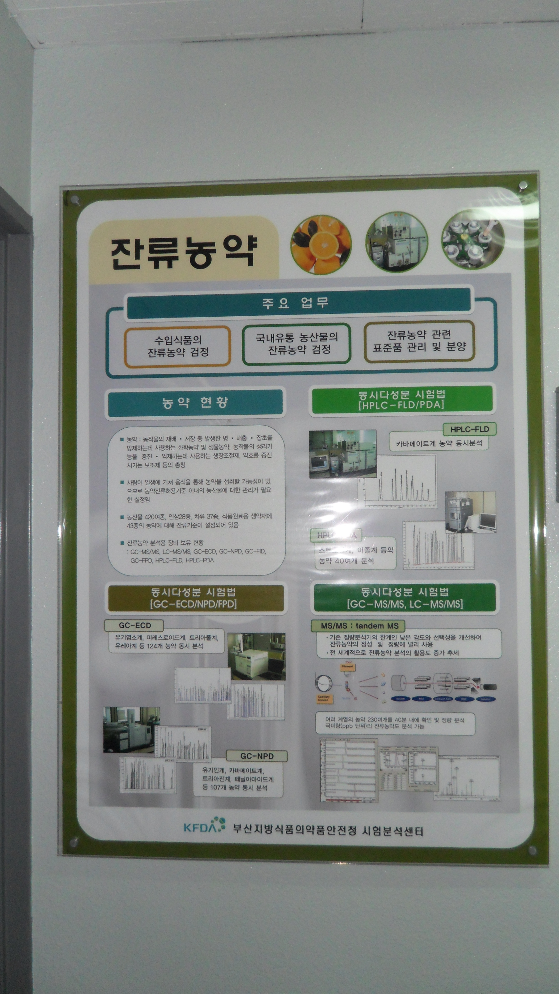 SAM_1285.JPG 첨부 이미지